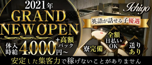 Ichigo(イチゴ)【公式求人・体入情報】(歌舞伎町キャバクラ)の求人・体験入店情報