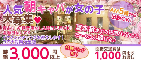 スタイリッシュカフェ TARO【公式求人・体入情報】(赤羽昼キャバ・朝キャバ)の求人・体験入店情報