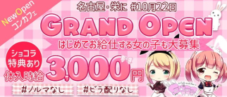 コンセプトカフェ&バー ちびうさCafe栄店【公式求人・体入情報】(錦ガールズバー)の求人・体験入店情報