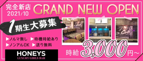 HONEYS(ハニーズ)【公式求人・体入情報】(大宮ガールズバー)の求人・体験入店情報