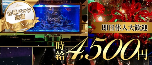Club Nelva(ネルヴァ)【公式求人・体入情報】(相模原キャバクラ)の求人・体験入店情報