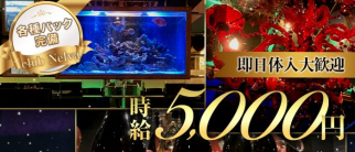 Club Nelva(ネルヴァ)【公式体入・求人情報】(相模原キャバクラ)の求人・体験入店情報