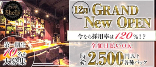 Shelly(シェリー)【公式求人・体入情報】(梅田スナック)の求人・体験入店情報