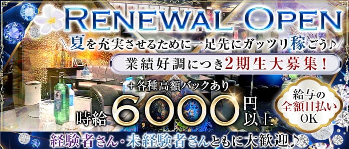 CLUB GOLD 赤坂店のキャバクラ体入