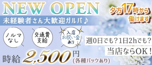 【新今宮】Girls bar ラブアリス【公式求人・体入情報】(天王寺ガールズバー)の求人・体験入店情報