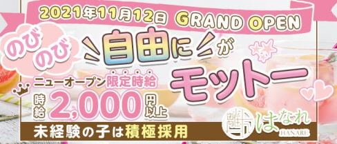 Bar HANARE(離れ)【公式求人・体入情報】(流川ガールズバー)の求人・体験入店情報