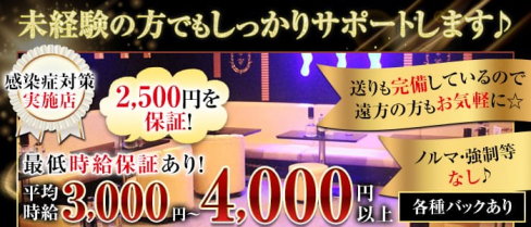 Minerva(ミネルヴァ)【公式求人・体入情報】(武蔵小杉キャバクラ)の求人・体験入店情報