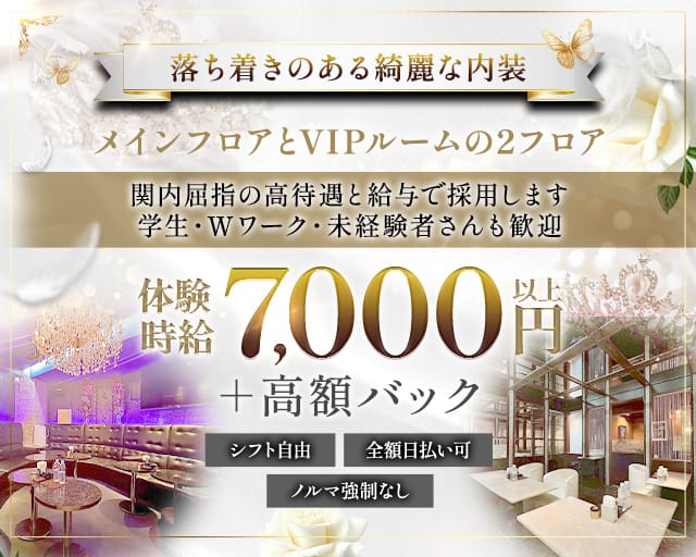 yokohama V.I.P club(ヨコハマ ブイアイピー クラブ)のキャバクラ体入