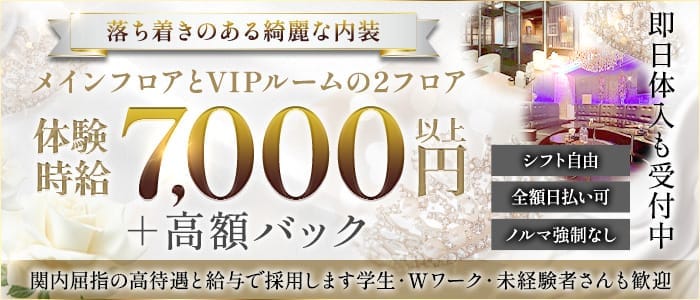 yokohama V.I.P club（ヨコハマ ブイアイピー クラブ） 関内キャバクラ 即日体入募集バナー