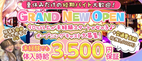 GIRL’S BAR Vis (ヴィス)【公式求人・体入情報】(千葉ガールズバー)の求人・体験入店情報