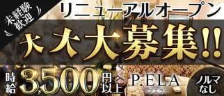 P.ELA(プエラ)【公式求人・体入情報】(銀座クラブ)の求人・体験入店情報