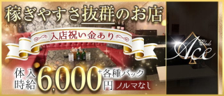 【豊田】クラブ エース【公式求人・体入情報】(豊田キャバクラ)の求人・体験入店情報
