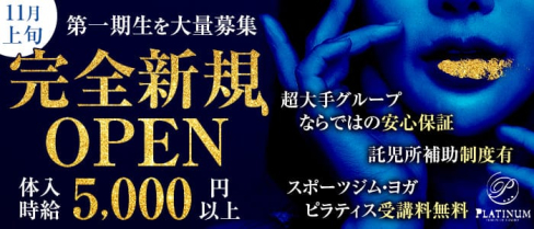 FUSION OF LUXURY PLATINUM(プラチナム)【公式求人・体入情報】(南越谷キャバクラ)の求人・体験入店情報