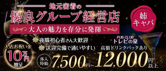 【JR相模線 南橋本駅】PUB CLUB トレビの泉(橋本キャバクラ)の求人・体験入店情報
