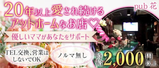 Pub 花(はな)【公式求人・体入情報】(東京パブクラブ)の求人・体験入店情報