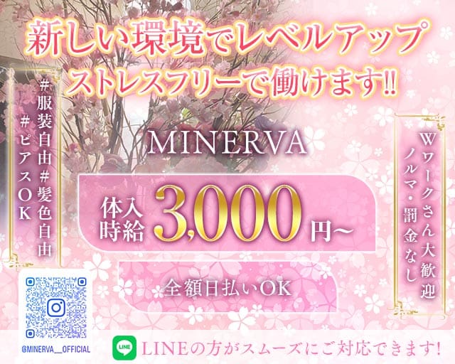 MINERVA (ミネルヴァ)の求人情報