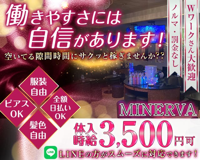 MINERVA (ミネルヴァ)の求人情報