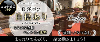 ラウンジ カフネ【公式求人・体入情報】(大宮ラウンジ)の求人・体験入店情報