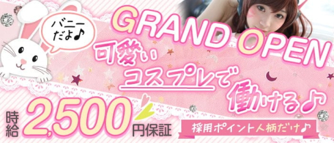 コンセプトバー BUNNIES(バニーズ)【公式求人・体入情報】(新潟ガールズバー)の求人・体験入店情報