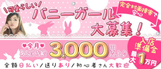 CONCEPT BAR BUNNIES(バニーズ)【公式求人・体入情報】(新潟ガールズバー)の求人・体験入店情報