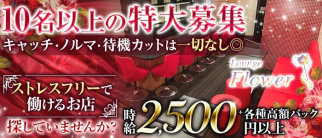 Flower(フラワー)【公式求人・体入情報】(西中島ラウンジ)の求人・体験入店情報
