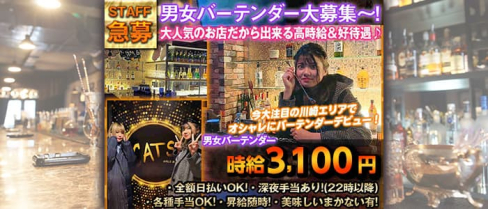 DINING BAR CAT'S~キャッツ~【公式求人・体入情報】(川崎ガールズバー)の求人・体験入店情報