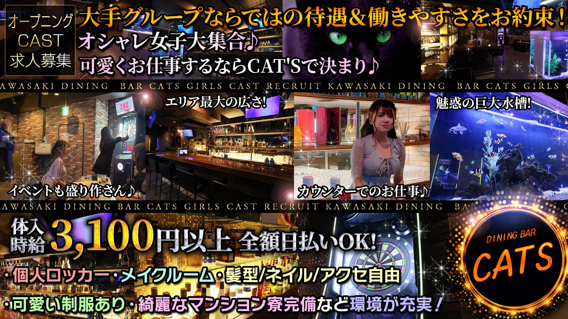 DINING BAR CAT'S～キャッツ～【公式求人・体入情報】 川崎ガールズバー TOP画像