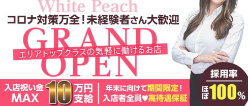 ガールズLounge White peach(ホワイトピーチ)【公式出稼ぎ求人情報】(高田馬場キャバクラ)の求人・バイト・体験入店情報