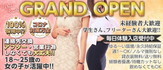 ガールズLounge White peach(ホワイトピーチ)【公式求人・体入情報】(高田馬場キャバクラ)の求人・体験入店情報