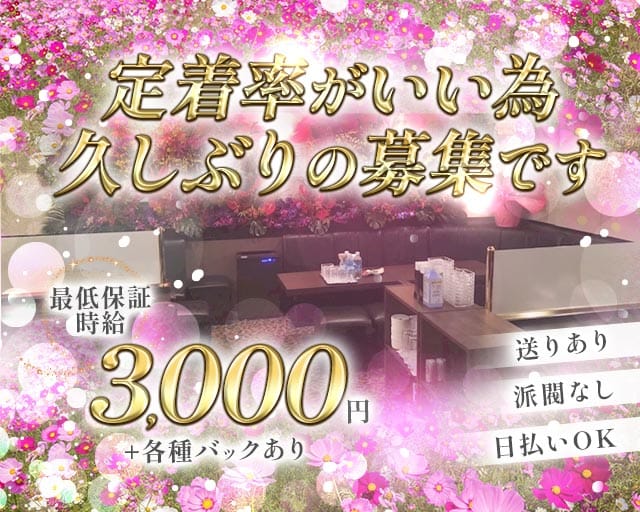 秋桜（コスモス） バナー