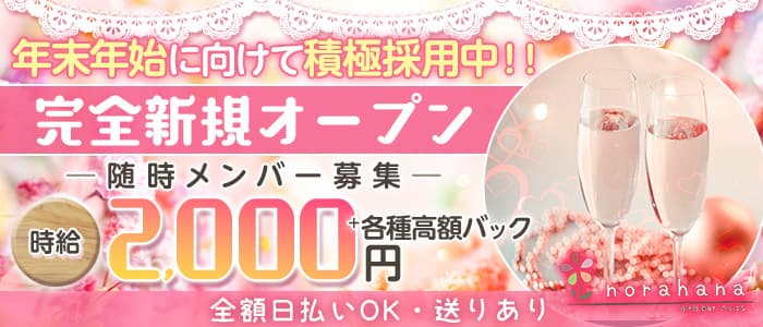 Girlsbar Norahana のらはな 公式求人 体入情報 飯田 ガールズバー 公式求人 ガールズバーバイトなら 体入ショコラ