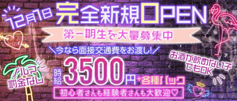 Girls Bar ANGE(アンジュ)【公式求人・体入情報】(上野ガールズバー)の求人・体験入店情報