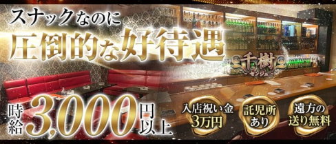 千樹(センジュ)【公式求人・体入情報】(小倉スナック)の求人・体験入店情報