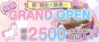 【浜松町】ガールズバー レブリ【公式求人・体入情報】(浜松町ガールズバー)の求人・体験入店情報