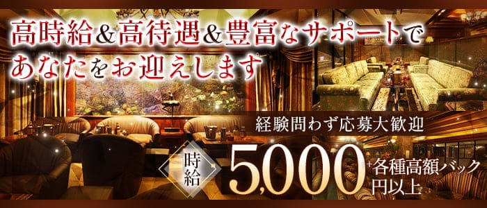 Paris Collection（パリコレクション）のニュークラブ体入