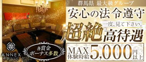 ANNEX(アネックス)【公式求人・体入情報】(高崎キャバクラ)の求人・体験入店情報