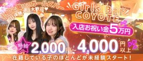Girls Bar COYOTE(コヨーテ)【公式求人・体入情報】 すすきのガールズバー 即日体入募集バナー