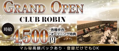 CLUB ROBIN（ロビン）【公式求人・体入情報】(溝の口キャバクラ)の求人・バイト・体験入店情報