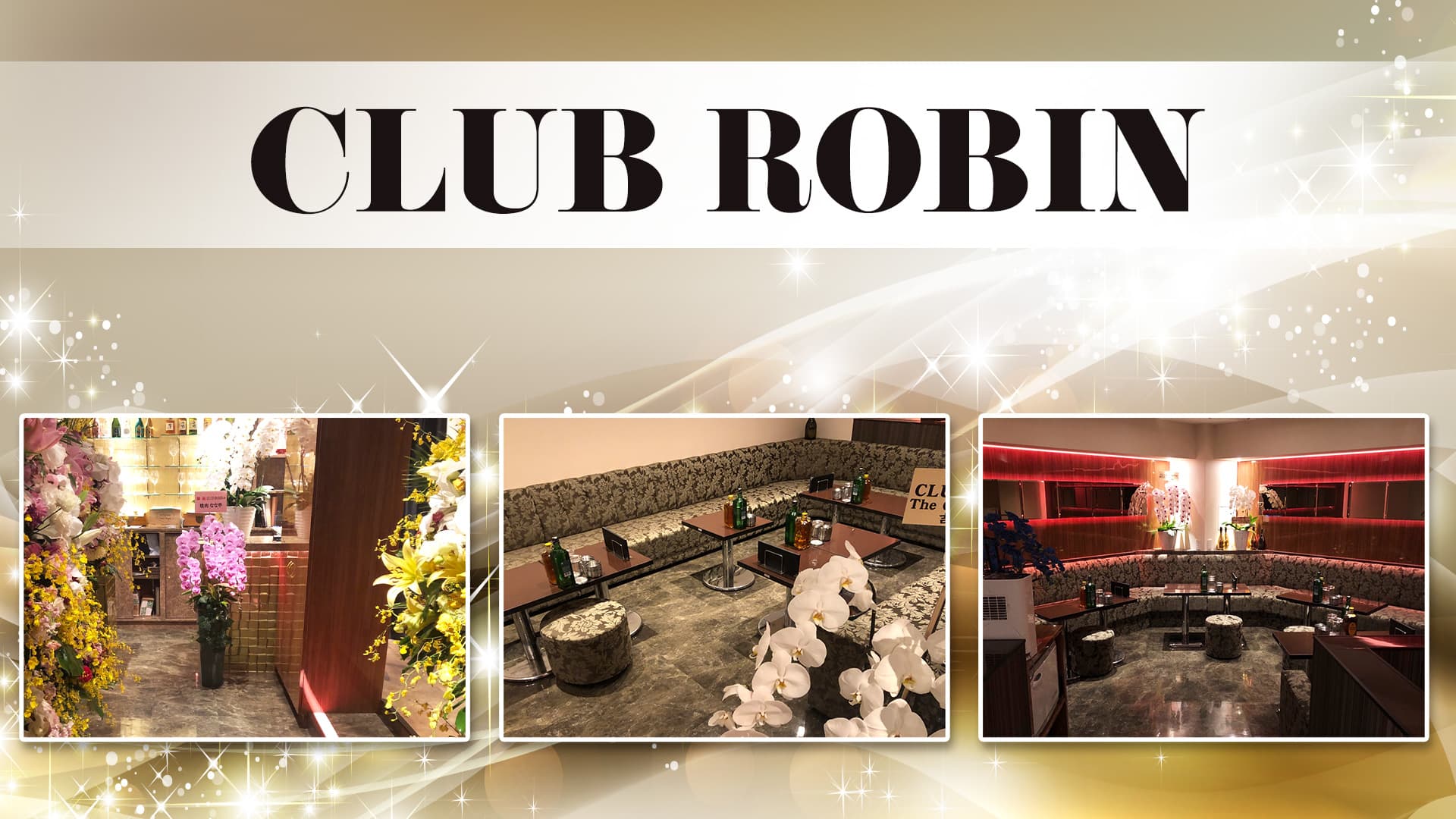 CLUB ROBIN（ロビン）【公式体入・求人情報】 溝の口キャバクラ TOP画像