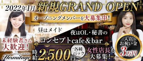 コンセプトCafé&Bar Hermitage(エルミタージュ)【公式求人・体入情報】(銀座ガールズバー)の求人・体験入店情報