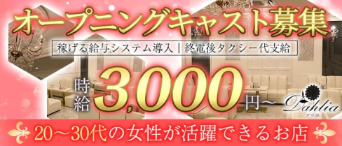 Dahlia-ダリア-【公式求人・体入情報】(三宮ラウンジ)の求人・体験入店情報