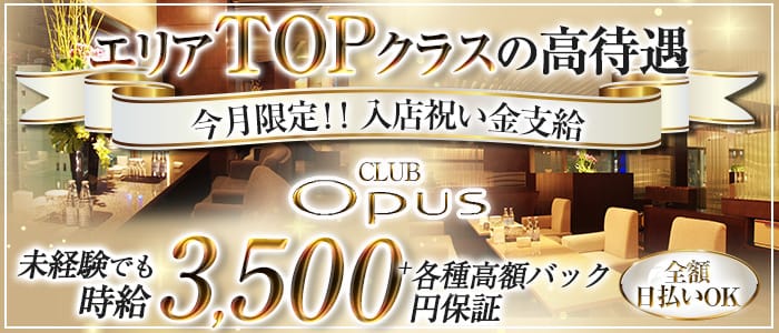 CLUB OPUS(オーパス)【公式求人・体入情報】 すすきのクラブ バナー
