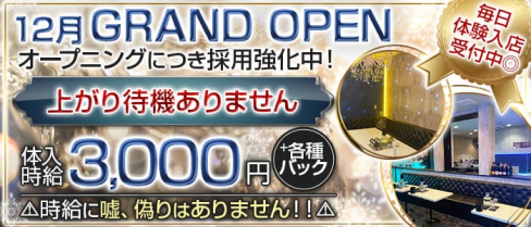 【朝キャバ・昼キャバ】GRETCHEN(グレッチェン)【公式求人・体入情報】(千葉昼キャバ・朝キャバ)の求人・体験入店情報