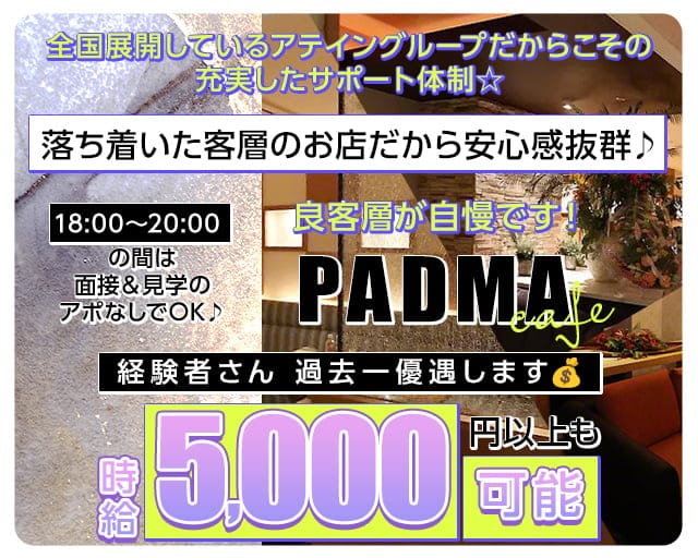 PADMA CAFE～パドマカフェ～【公式求人・体入情報】 すすきのニュークラブ TOP画像