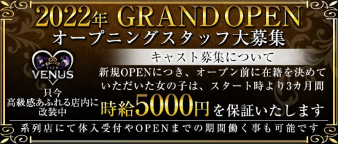 CLUBVENUS(ヴィーナス)【公式求人・体入情報】(土浦キャバクラ)の求人・体験入店情報