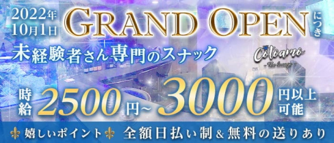 【初心者専門店】Cotoamo the lounge(コトアモ)【公式求人・体入情報】(下通りスナック)の求人・体験入店情報