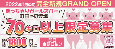 SANTON(さんとん)【公式求人・体入情報】(町田ガールズバー)の求人・体験入店情報