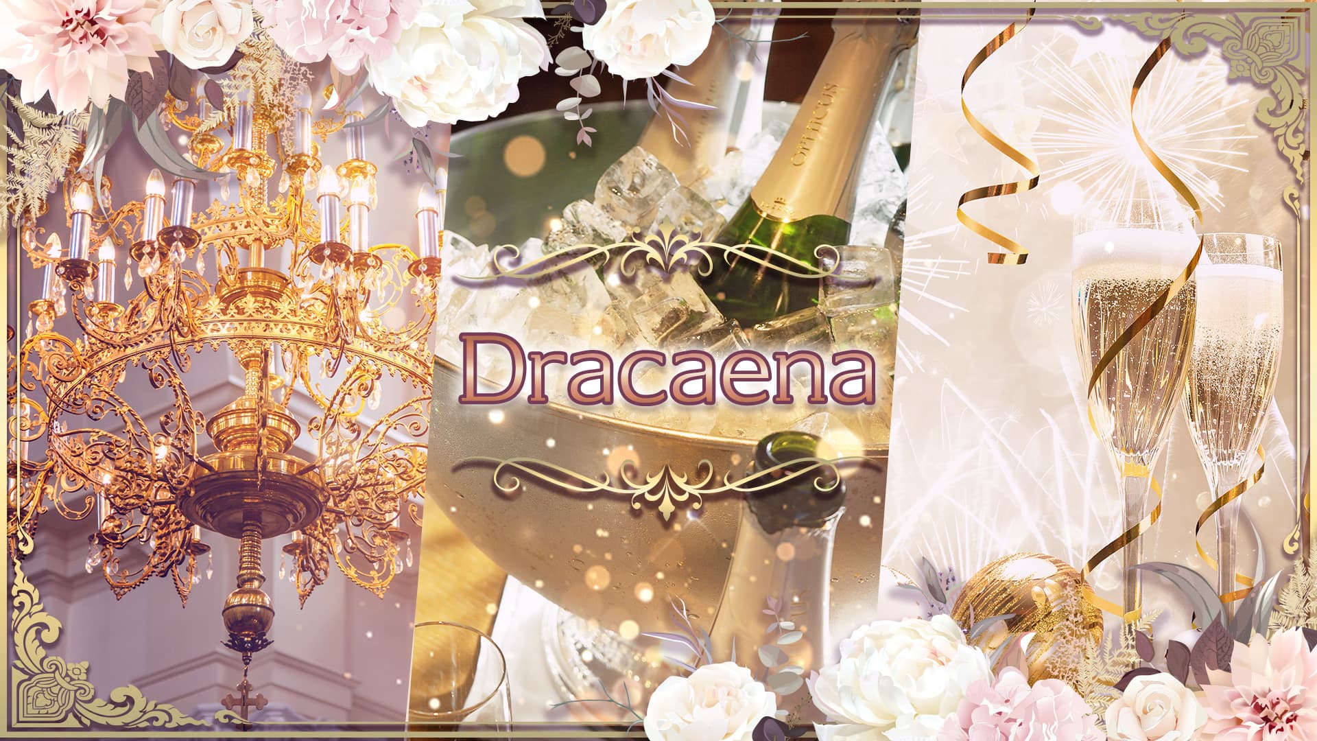 Dracaena(ドラセナ)【公式求人・体入情報】 赤坂熟女キャバクラ TOP画像