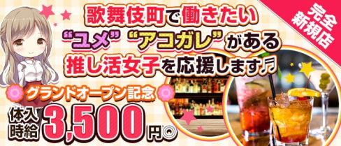 GirlsBar alba(アルバ)【公式求人・体入情報】(歌舞伎町ガールズバー)の求人・体験入店情報