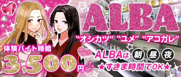 朝・昼・夜】GirlsBar alba-アルバ-【公式体入・求人情報】(歌舞伎町